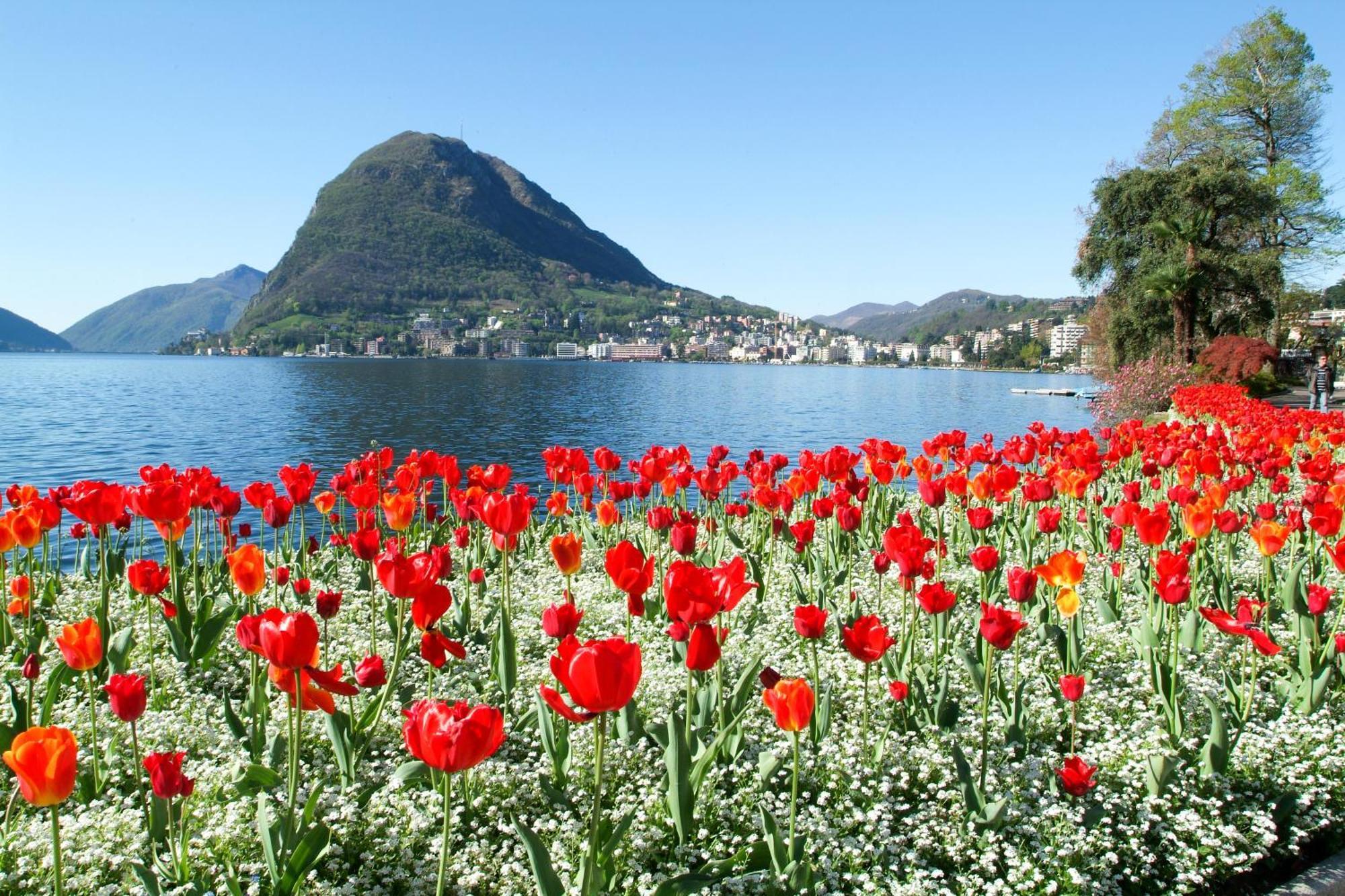 In - Happy * Lugano